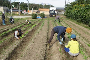 12.　いなべこども農園　★中止になりました★