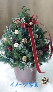 14. クリスマスツリーを作ろう　☆終了しました☆